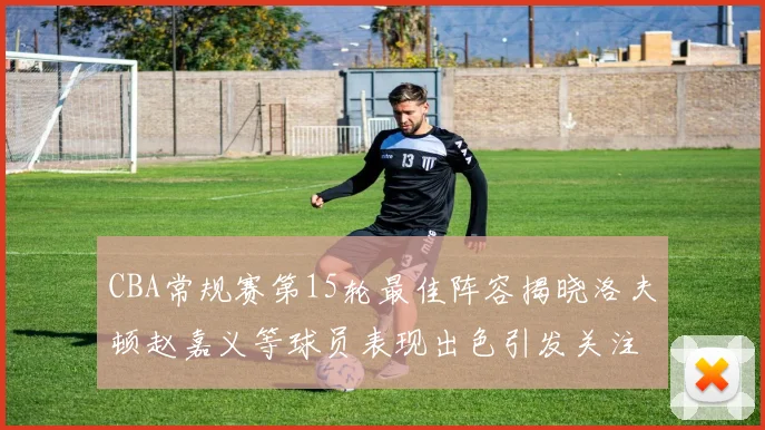 CBA常规赛第15轮最佳阵容揭晓洛夫顿赵嘉义等球员表现出色引发关注